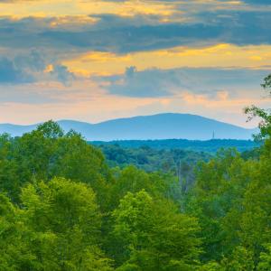 Photo #25 of GILBERT STATION RD, BARBOURSVILLE, VA 3.6 acres
