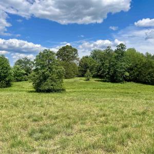 Photo #3 of BURCHS CREEK RD, CROZET, VA 2.2 acres