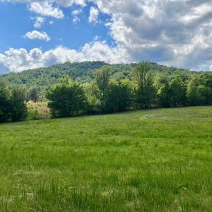 Photo #4 of BURCHS CREEK RD, CROZET, VA 2.2 acres