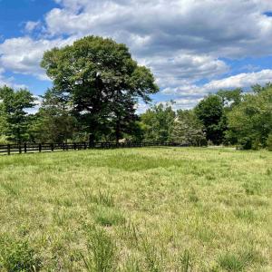 Photo #6 of BURCHS CREEK RD, CROZET, VA 2.2 acres