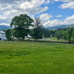 Photo #11 of BURCHS CREEK RD, CROZET, VA 2.2 acres