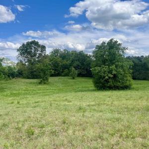 Photo #7 of BURCHS CREEK RD, CROZET, VA 2.2 acres