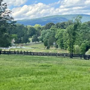 Photo #10 of BURCHS CREEK RD, CROZET, VA 2.2 acres