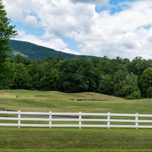 Photo #18 of 717 CEDAR MEADOW DR, NELLYSFORD, VA 0.9 acres