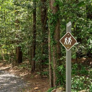Photo #9 of 717 CEDAR MEADOW DR, NELLYSFORD, VA 0.9 acres