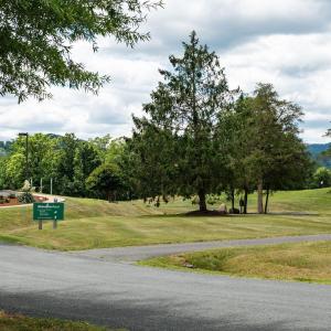 Photo #13 of 717 CEDAR MEADOW DR, NELLYSFORD, VA 0.9 acres