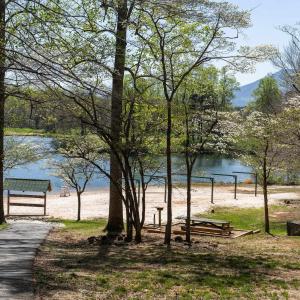 Photo #5 of 717 CEDAR MEADOW DR, NELLYSFORD, VA 0.9 acres