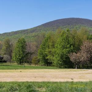 Photo #43 of 717 CEDAR MEADOW DR, NELLYSFORD, VA 0.9 acres