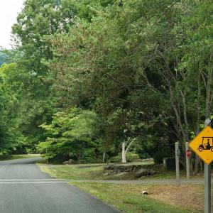 Photo #10 of 717 CEDAR MEADOW DR, NELLYSFORD, VA 0.9 acres