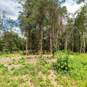 Photo #6 of 717 CEDAR MEADOW DR, NELLYSFORD, VA 0.9 acres
