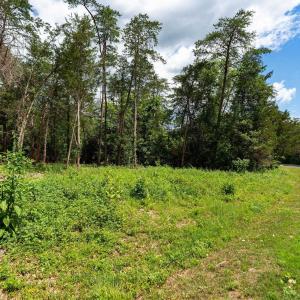 Photo #7 of 717 CEDAR MEADOW DR, NELLYSFORD, VA 0.9 acres