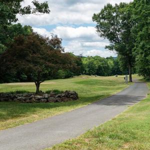 Photo #11 of 717 CEDAR MEADOW DR, NELLYSFORD, VA 0.9 acres