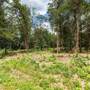 Photo #8 of 717 CEDAR MEADOW DR, NELLYSFORD, VA 0.9 acres