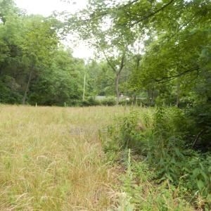 Photo #2 of 43 CODY LN, MOUNT SOLON, VA 0.5 acres