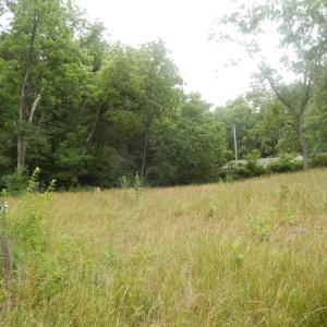Photo #3 of 43 CODY LN, MOUNT SOLON, VA 0.5 acres