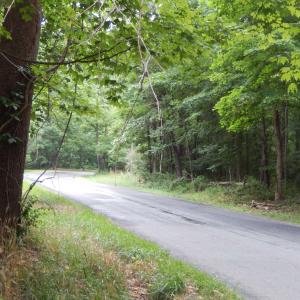 Photo #6 of 43 CODY LN, MOUNT SOLON, VA 0.5 acres