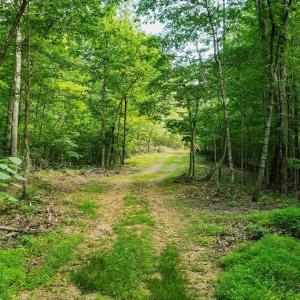 Photo #21 of TBD CALF MOUNTAIN RD, WAYNESBORO, VA 20.5 acres