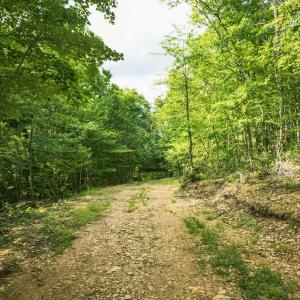 Photo #35 of TBD CALF MOUNTAIN RD, WAYNESBORO, VA 20.5 acres