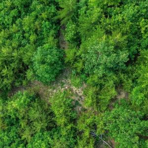 Photo #30 of TBD CALF MOUNTAIN RD, WAYNESBORO, VA 20.5 acres