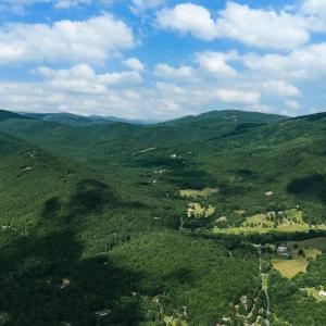 Photo #5 of TBD CALF MOUNTAIN RD, WAYNESBORO, VA 20.5 acres