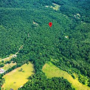 Photo #9 of TBD CALF MOUNTAIN RD, WAYNESBORO, VA 20.5 acres