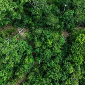 Photo #27 of TBD CALF MOUNTAIN RD, WAYNESBORO, VA 20.5 acres