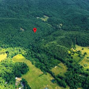 Photo #11 of TBD CALF MOUNTAIN RD, WAYNESBORO, VA 20.5 acres