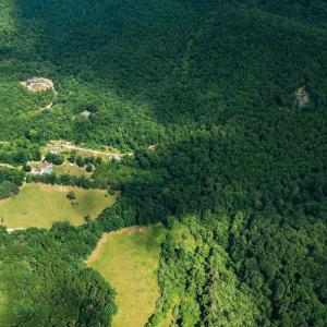 Photo #12 of TBD CALF MOUNTAIN RD, WAYNESBORO, VA 20.5 acres