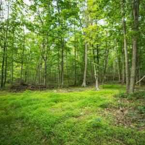 Photo #36 of TBD CALF MOUNTAIN RD, WAYNESBORO, VA 20.5 acres