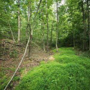 Photo #34 of TBD CALF MOUNTAIN RD, WAYNESBORO, VA 20.5 acres