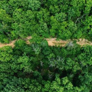 Photo #15 of TBD CALF MOUNTAIN RD, WAYNESBORO, VA 20.5 acres