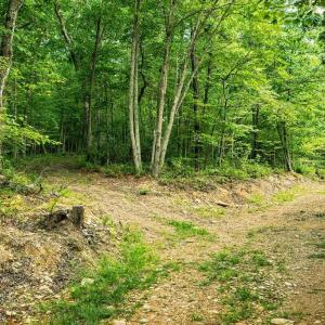 Photo #22 of TBD CALF MOUNTAIN RD, WAYNESBORO, VA 20.5 acres