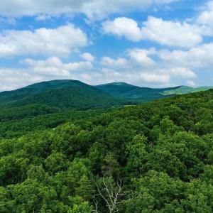 Photo #8 of TBD CALF MOUNTAIN RD, WAYNESBORO, VA 20.5 acres