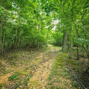 Photo #33 of TBD CALF MOUNTAIN RD, WAYNESBORO, VA 20.5 acres