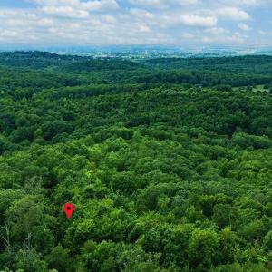 Photo #6 of TBD CALF MOUNTAIN RD, WAYNESBORO, VA 20.5 acres