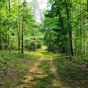 Photo #20 of TBD CALF MOUNTAIN RD, WAYNESBORO, VA 20.5 acres