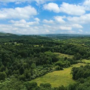 Photo #2 of TBD CALF MOUNTAIN RD, WAYNESBORO, VA 20.5 acres