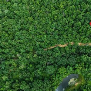 Photo #14 of TBD CALF MOUNTAIN RD, WAYNESBORO, VA 20.5 acres