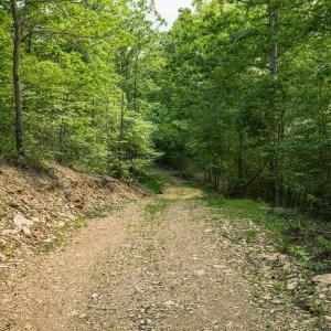 Photo #29 of TBD CALF MOUNTAIN RD, WAYNESBORO, VA 20.5 acres