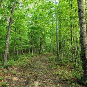 Photo #23 of TBD CALF MOUNTAIN RD, WAYNESBORO, VA 20.5 acres