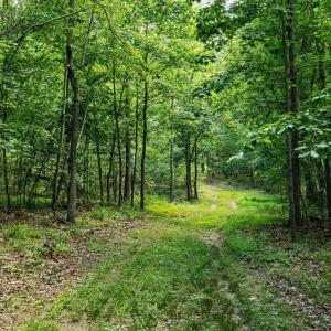 Photo #19 of TBD CALF MOUNTAIN RD, WAYNESBORO, VA 20.5 acres