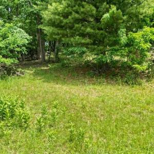 Photo #17 of Lot 19, 20, 21 HIDDEN HILL RD, STANLEY, VA 5.4 acres
