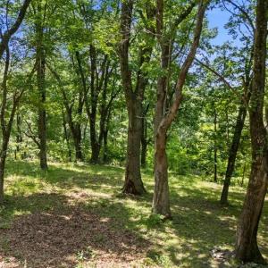 Photo #15 of Lot 19, 20, 21 HIDDEN HILL RD, STANLEY, VA 5.4 acres