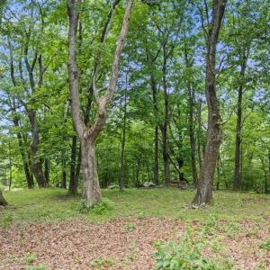 Photo #13 of Lot 19, 20, 21 HIDDEN HILL RD, STANLEY, VA 5.4 acres