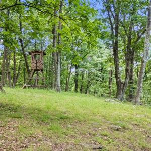 Photo #12 of Lot 19, 20, 21 HIDDEN HILL RD, STANLEY, VA 5.4 acres