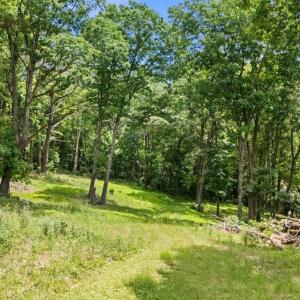 Photo #20 of Lot 19, 20, 21 HIDDEN HILL RD, STANLEY, VA 5.4 acres