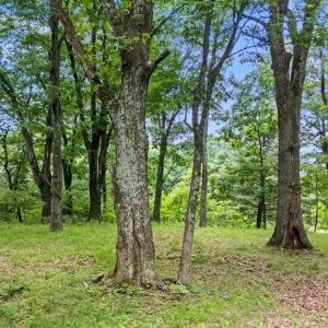 Photo #19 of Lot 19, 20, 21 HIDDEN HILL RD, STANLEY, VA 5.4 acres