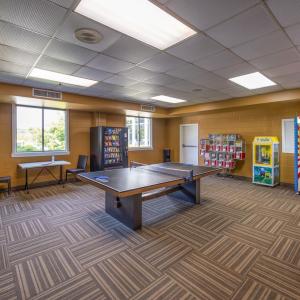 Ping-pong (table tennis) at the Friendship Square portion of the Shenandoah Crossing Resort.