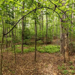 Photo #11 of 45 GLEN EAGLES DR, GORDONSVILLE, VA 0.4 acres