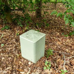 Underground utilities